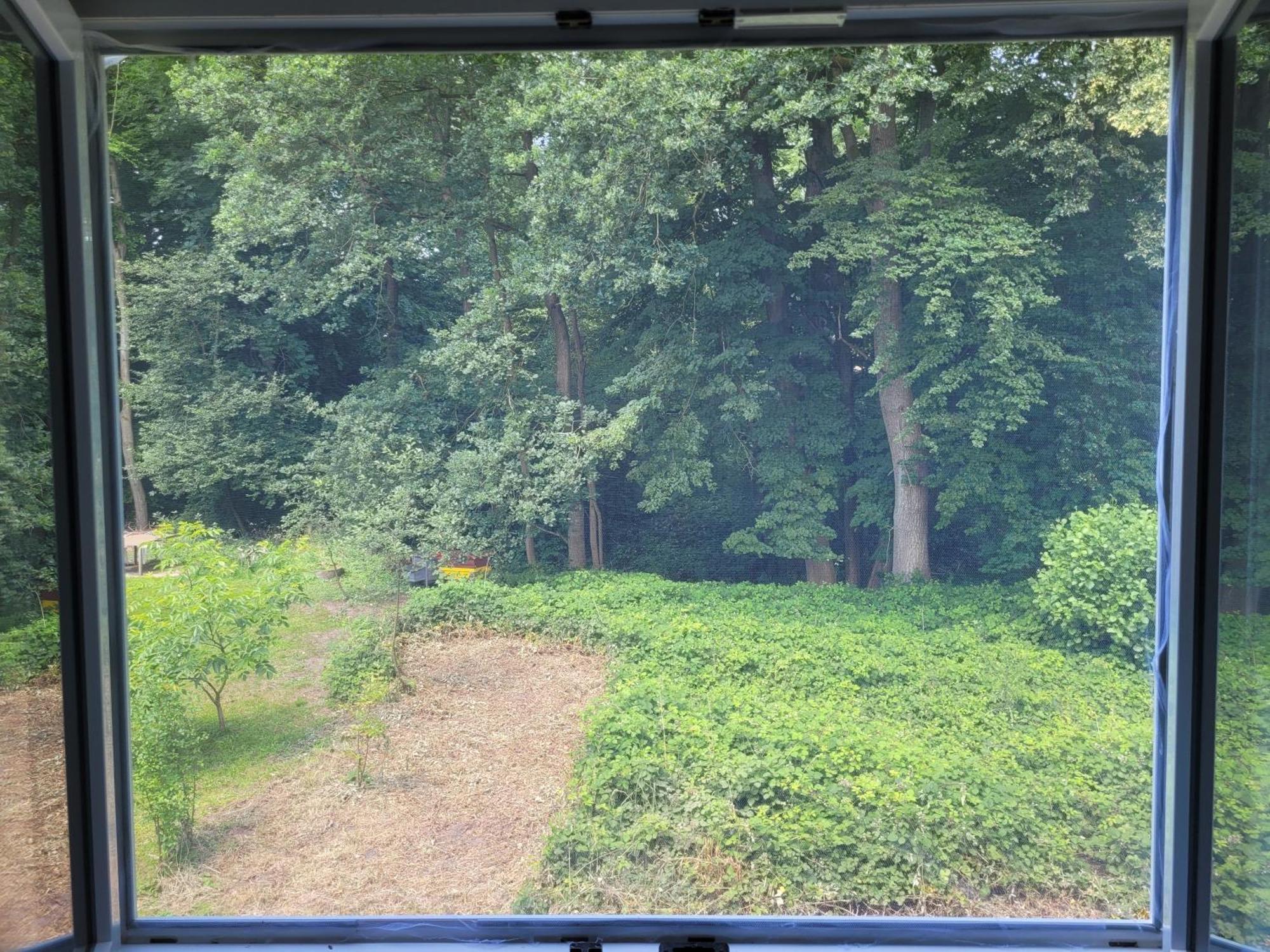Idylischer Bachplatz Oerlinghausen Dış mekan fotoğraf